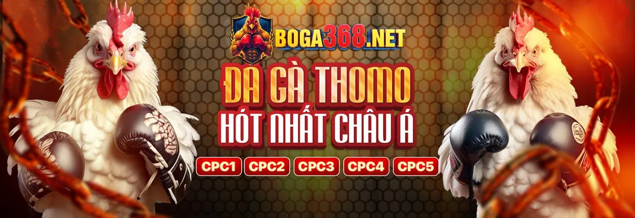 Thành viên VIP kim66 tận hưởng các đặc quyền độc quyền