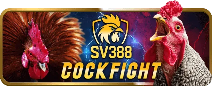 Hoàn trả thể thao và casino Kim66